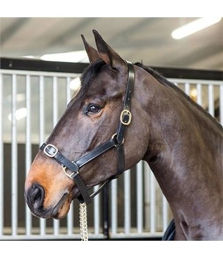 Turfmasters TM LEATHER HEADCOLLAR