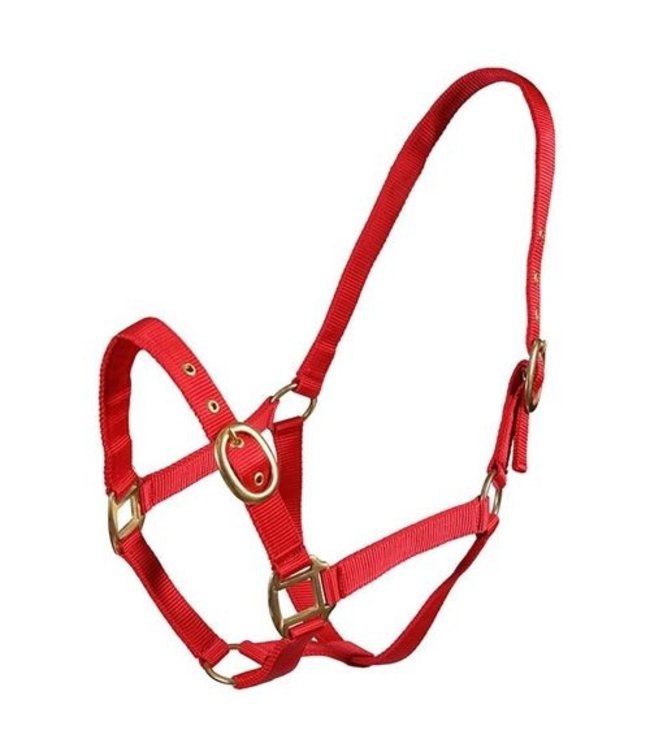 TM NYLON HEADCOLLAR