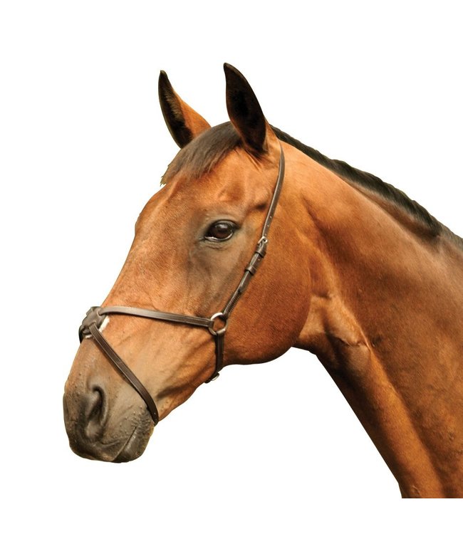 MACKEY CLASSIC GRACKLE MEXICAN NOSEBAND