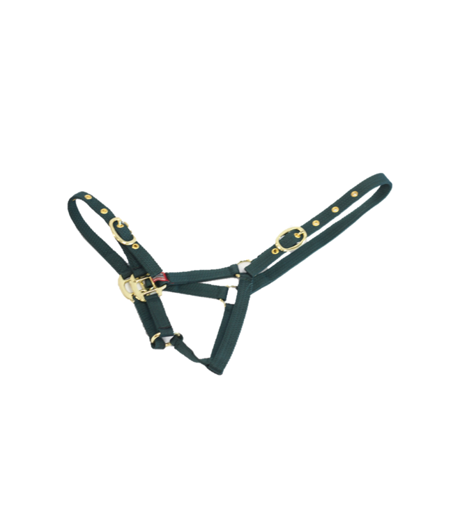 EQUISENTIAL NYLON HEADCOLLAR