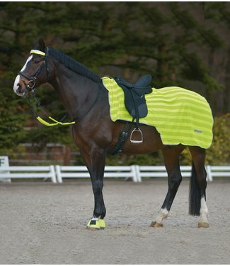 Waldhausen REFLEX HIND EXERCISE SHEET - Neon Yellow