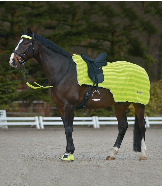 REFLEX HIND EXERCISE SHEET - Neon Yellow