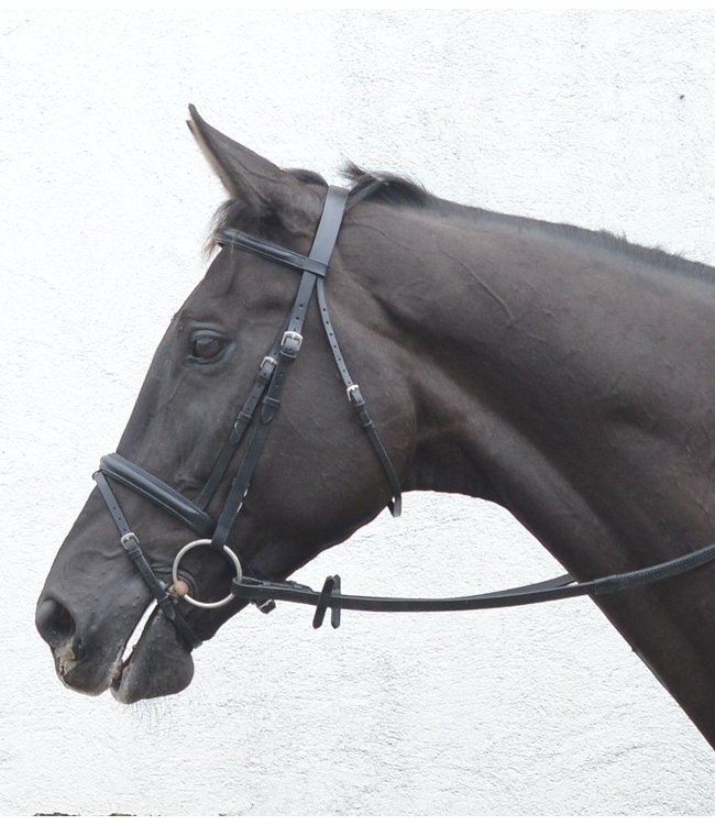 MACKEY CLASSIC FLASH BRIDLE  with PADDED NOSEBAND