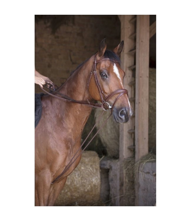 NORTON PRO DRAW REINS - Leather/Rope