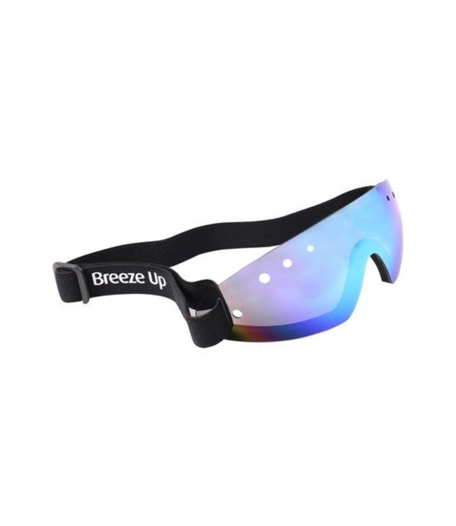 BREEZE UP RACE GOGGLES