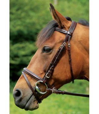 Breeze Up CELTIC EQUINE COMFORT BRIDLE & REINS