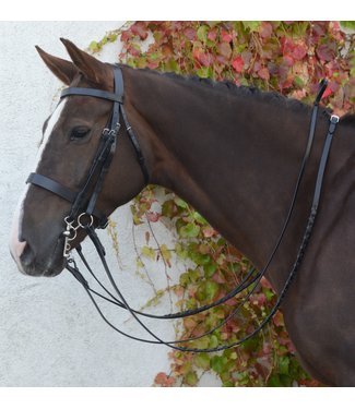 Mackey MACKEY CLASSIC DOUBLE BRIDLE - Black