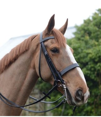 Mackey MACKEY CLASSIC DOUBLE BRIDLE