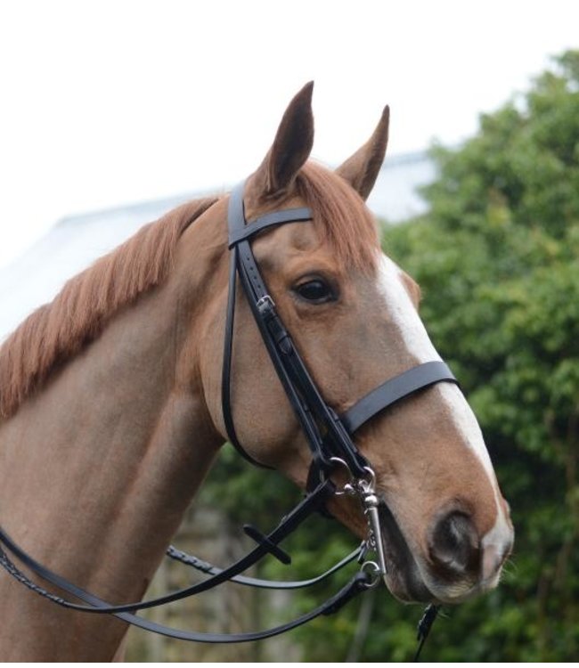 MACKEY CLASSIC DOUBLE BRIDLE