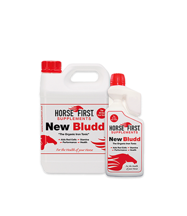 HORSE FIRST 'NEW BLUDD'