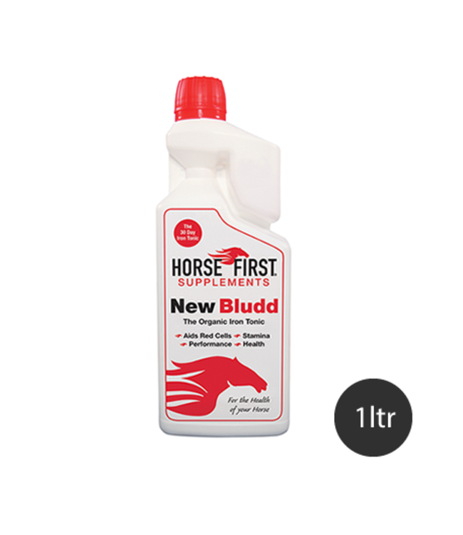 HORSE FIRST 'NEW BLUDD'