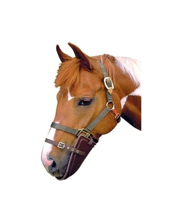 STUBBS HORSE BIB