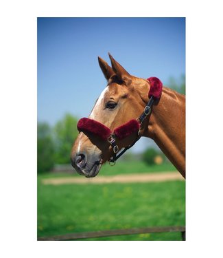 CSO SHEEPSKIN HEADCOLLAR COVERS