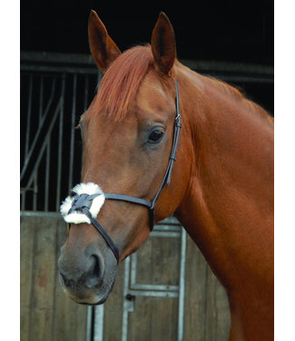 Celtic Equine GRACKLE NOSEBAND SHEEPSKIN + SS RING FG BROWN PONY