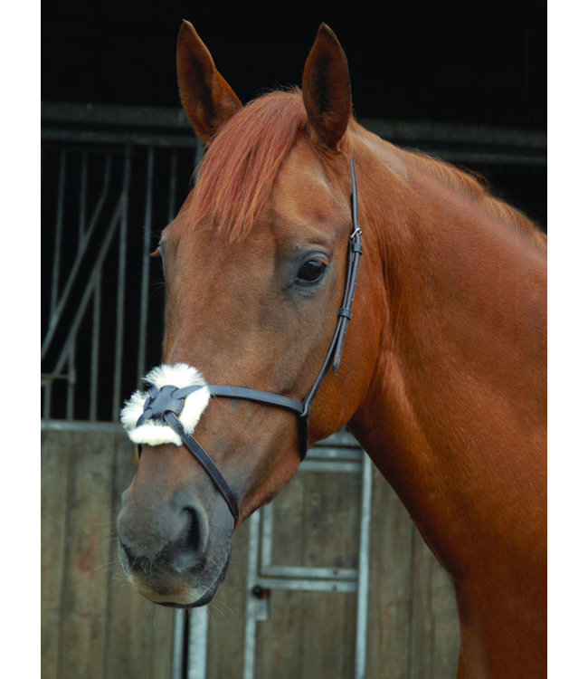 GRACKLE NOSEBAND SHEEPSKIN + SS RING FG BROWN PONY