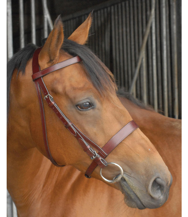 BREEZE UP HUNTING BRIDLE Full Grain Leather - Black