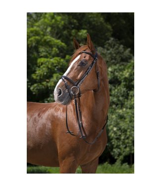 RIDING WORLD RIDING WORLD "MUSEROLLE COMBINÉE" BRIDLE