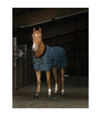 Equithème EQUITHÈME "TEDDY" STABLE RUG - Green/Brown