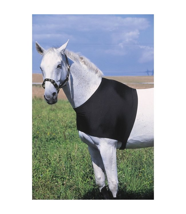 Equithème EQUITHÈME SHOULDER PROTECTION - Black