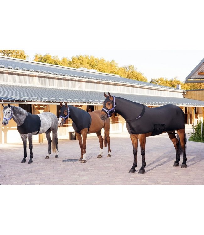 EQUITHÈME SHOULDER PROTECTION - Black