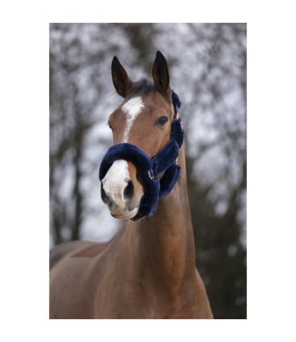 Equithème EQUITHÈME 'TEDDY' PINK GOLD HEADCOLLAR - Navy