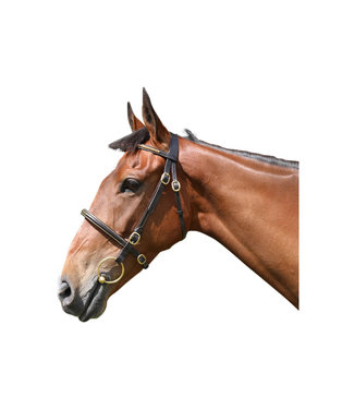 Breeze Up BREEZE UP INHAND BRIDLE PLAIN