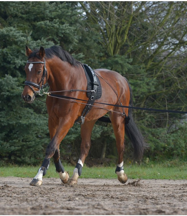 SOFT LUNGING ROLLER