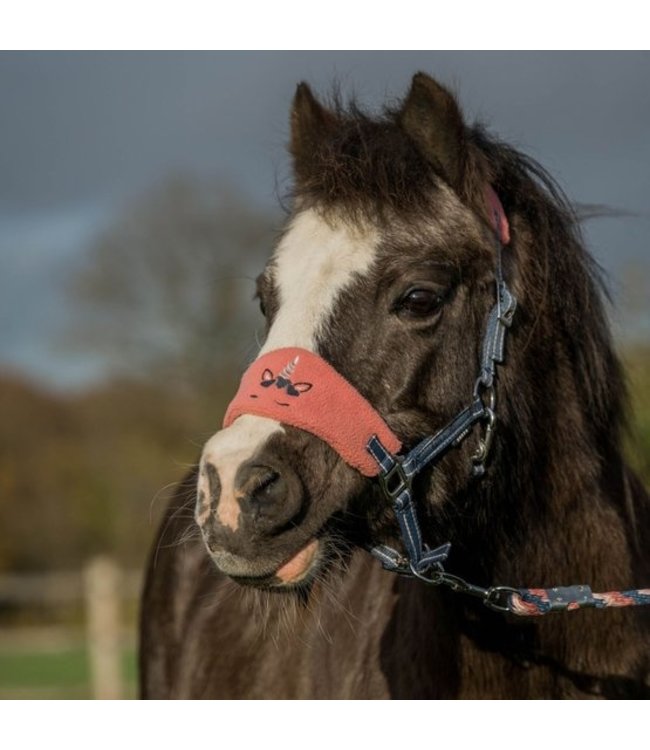 HORKA PONY HEADCOLLAR SET - Jollycorn Steel Blue