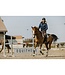 Equithème EQUITHEME PRO SERIES "HUNTER" JACKET, Navy