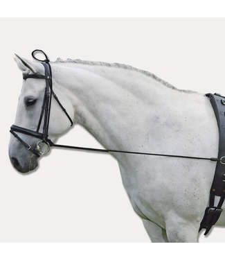 Waldhausen ELASTIC TRAINING REIN "Bungee"