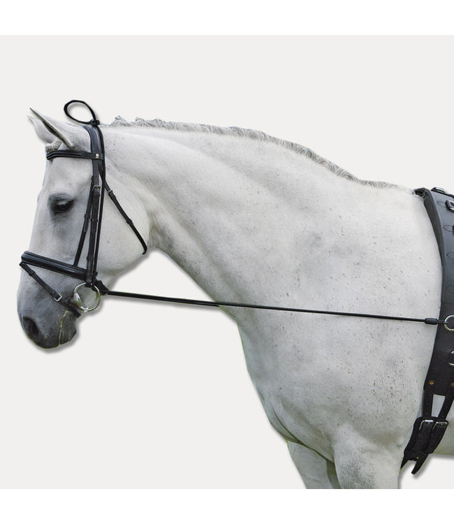 ELASTIC TRAINING REIN "Bungee"