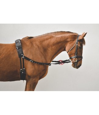 EquiSential MACKEY NYLON SIDE REINS Black