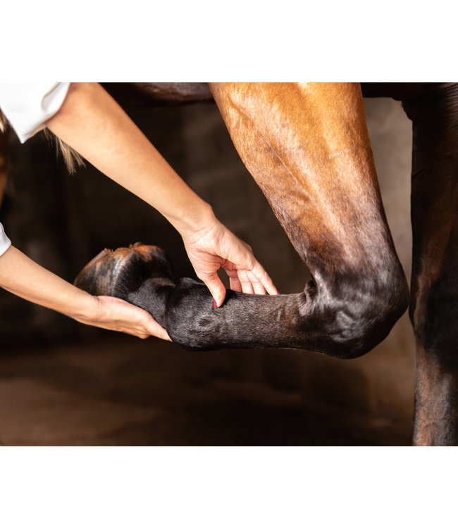 TRM FLAMEZZE-EQ 500g