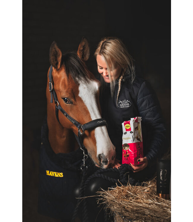 HAVENS LUCKY COOKIES TREATS