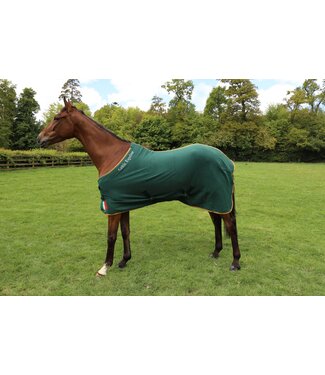 Celtic Equine CELTIC EQUINE IRISH FLAG FLEECE, Green w/Gold Binding