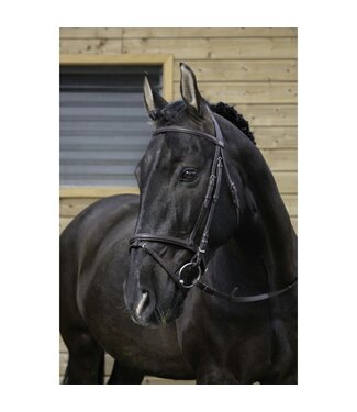 RIDING WORLD RIDING WORLD "MUSEROLLE COMBINÉE" BRIDLE