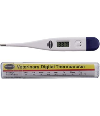 BRANNAN DIGITAL THERMOMETER