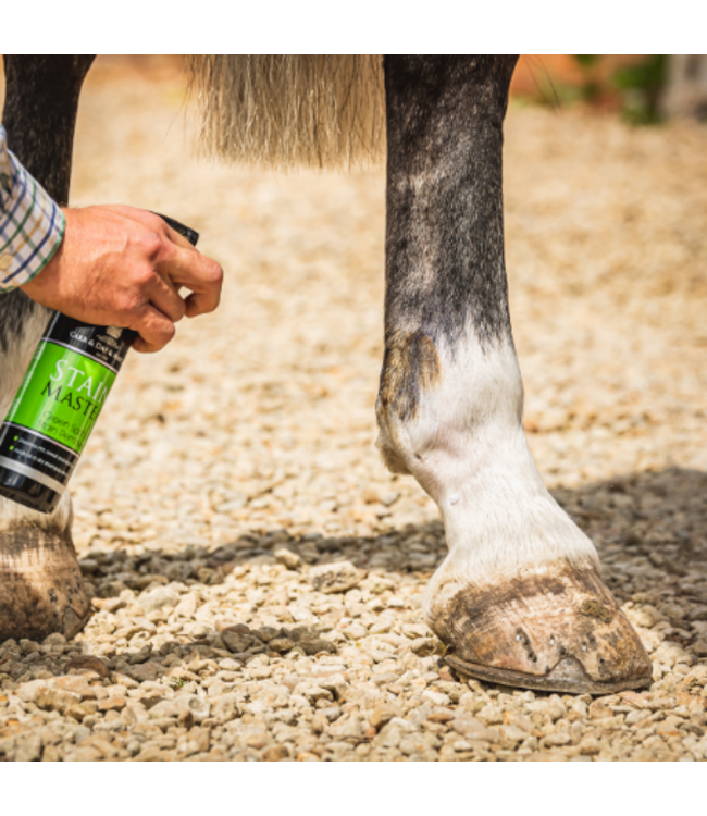 CDM STAIN MASTER - GREEN SPOT REMOVER 500ml