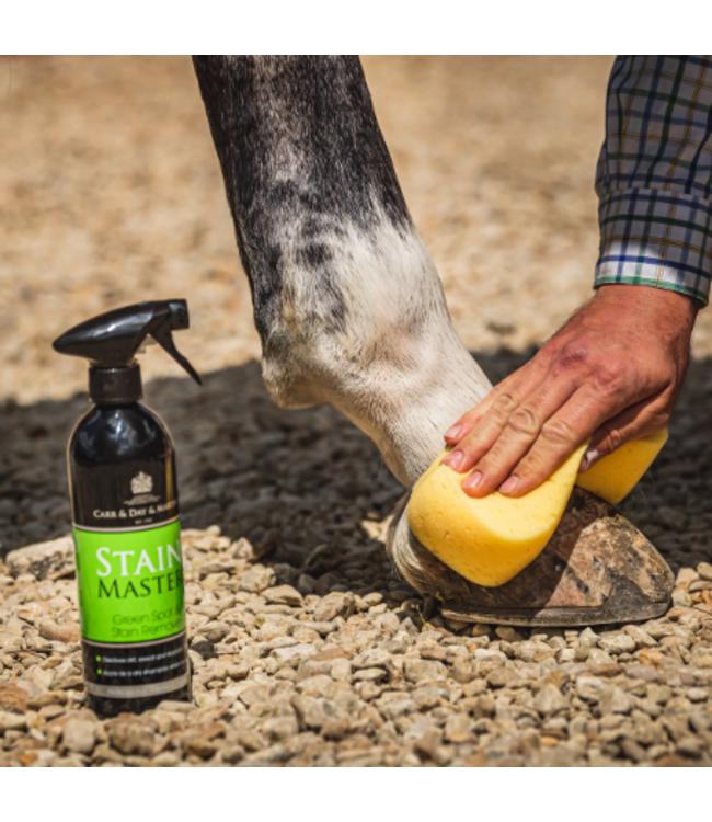 CDM STAIN MASTER - GREEN SPOT REMOVER 500ml
