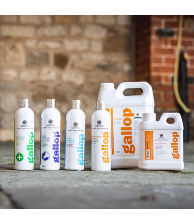 CDM GALLOP CONDITIONING SHAMPOO