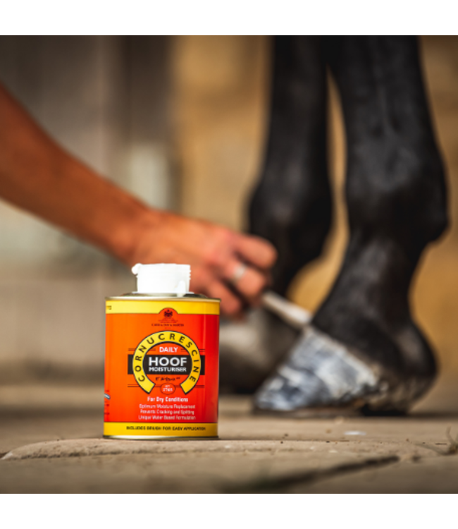 CDM CORNUCRESCINE DAILY HOOF MOISTURISER - 500 ml