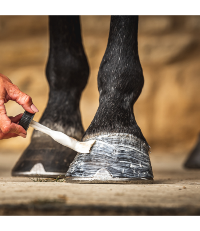 CDM CORNUCRESCINE DAILY HOOF MOISTURISER - 500 ml