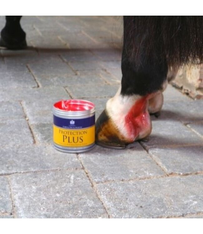 CDM PROTECTION PLUS  ANTIBACTERIAL SALVE - 500g