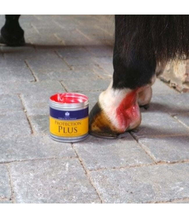 CDM PROTECTION PLUS Natural Antibacterial Salve - 500g