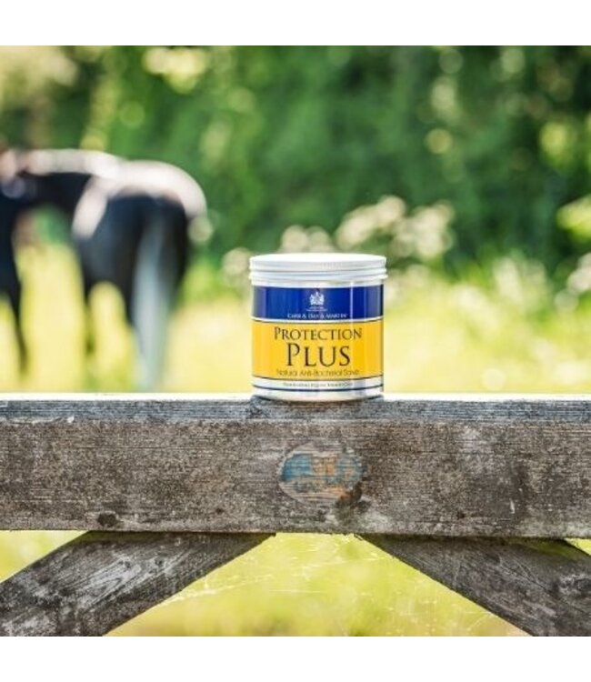 CDM PROTECTION PLUS  ANTIBACTERIAL SALVE - 500g