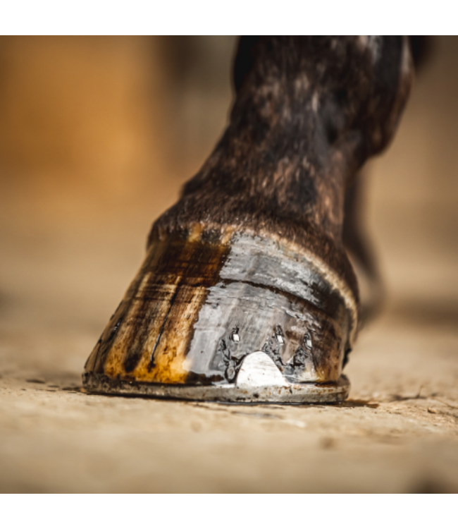 Cornucrescine Tea Tree Hoof Oil, 500 ml