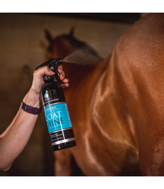 CDM CANTER COAT SHINE - 500 ml