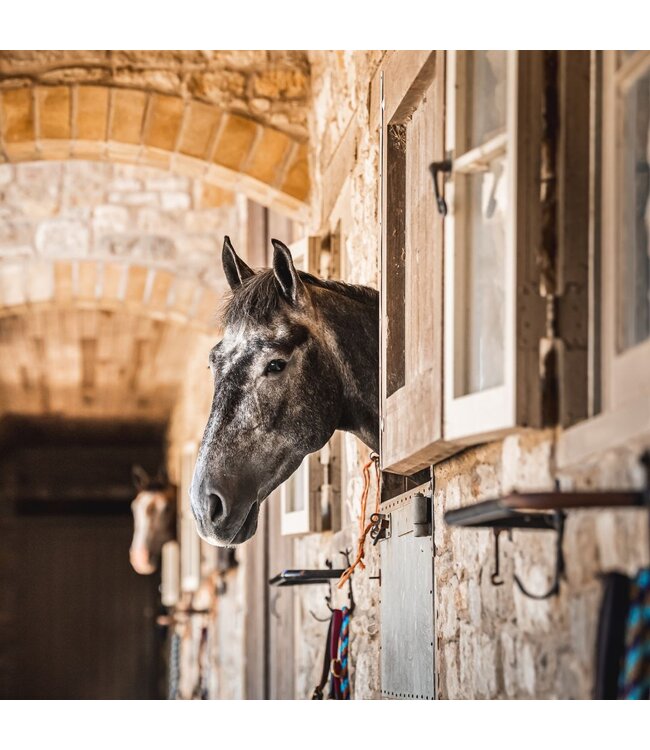 CDM FLYGARD PROTECTOR