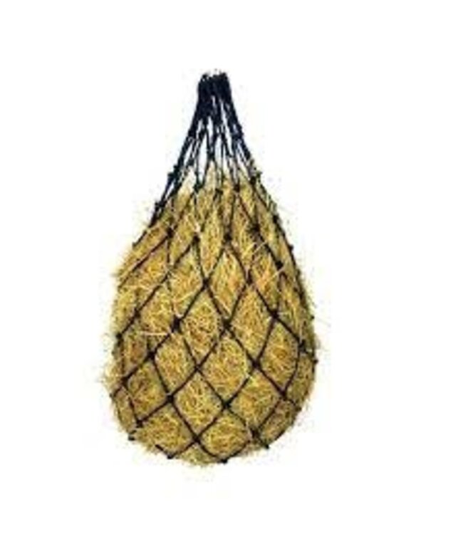 EQUISENTIAL NORMAL HAYNET