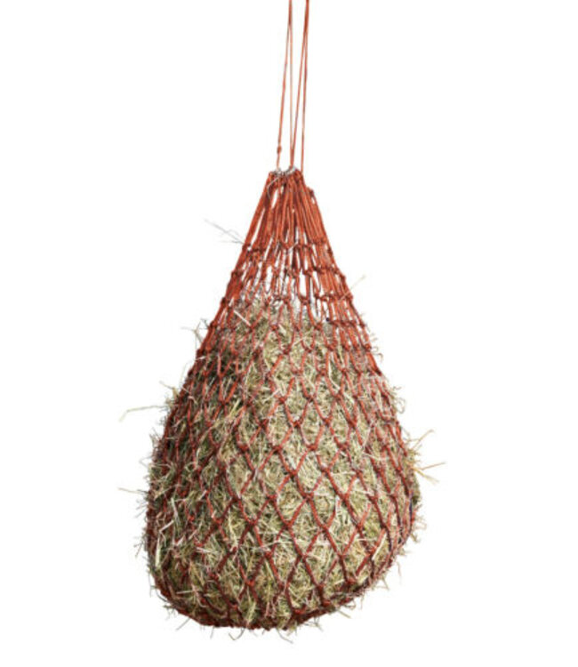 EQUISENTIAL NORMAL HAYNET